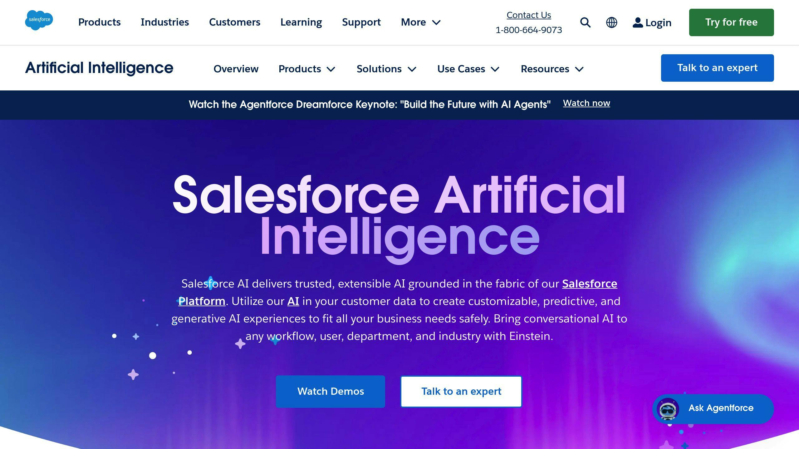 Salesforce Einstein