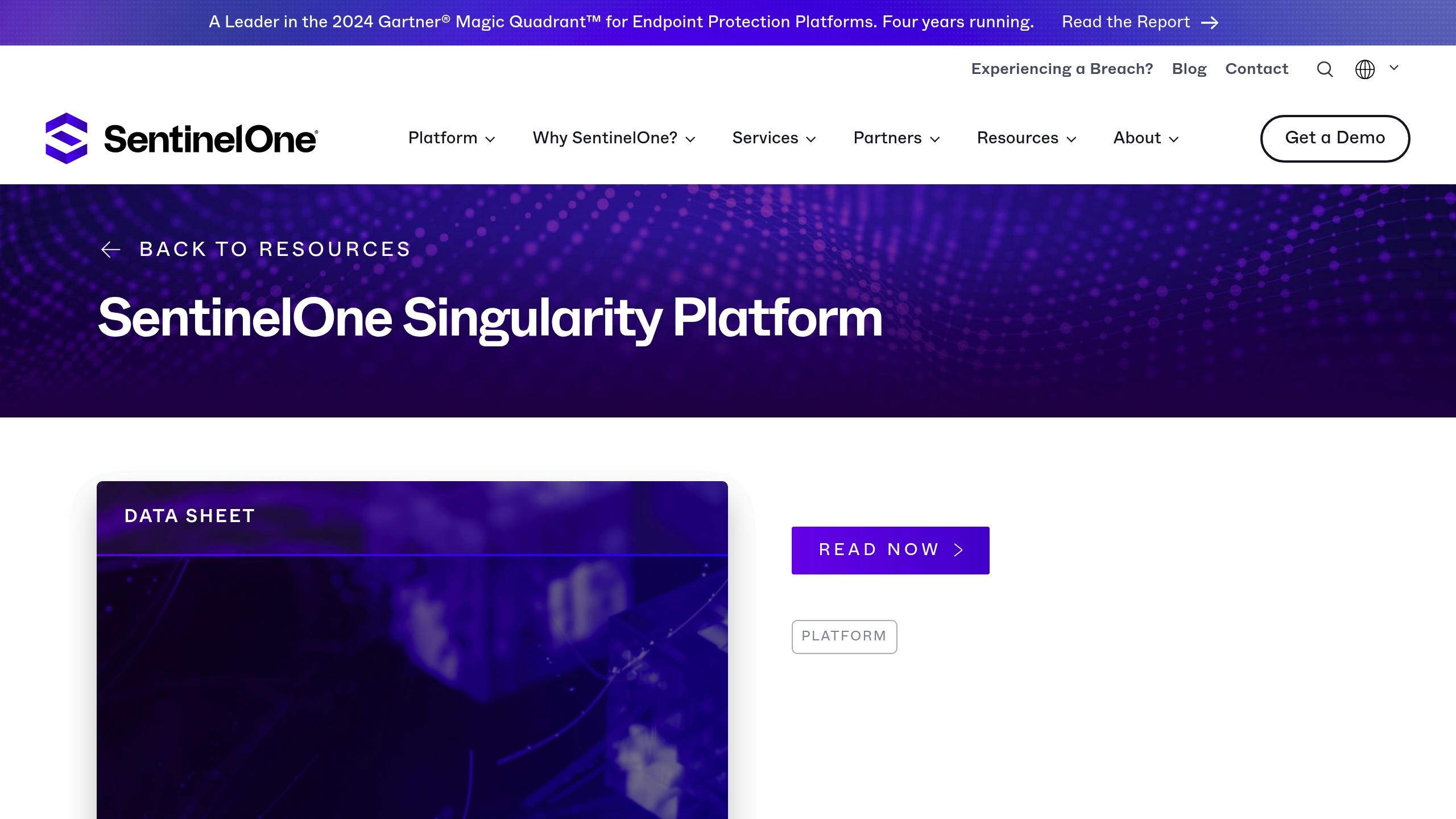 SentinelOne Singularity