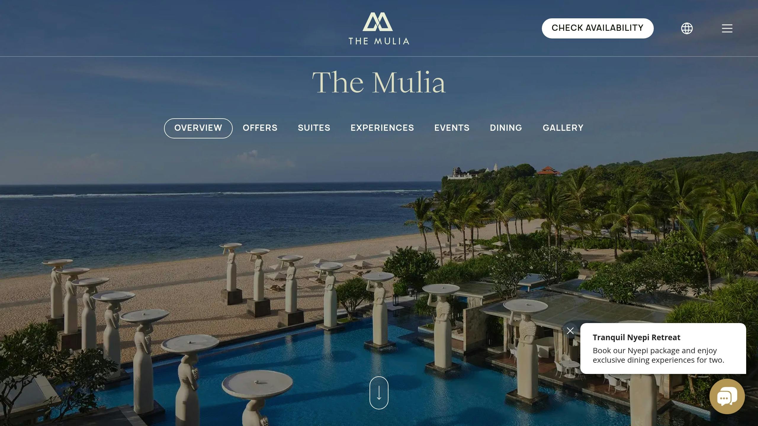 The Mulia