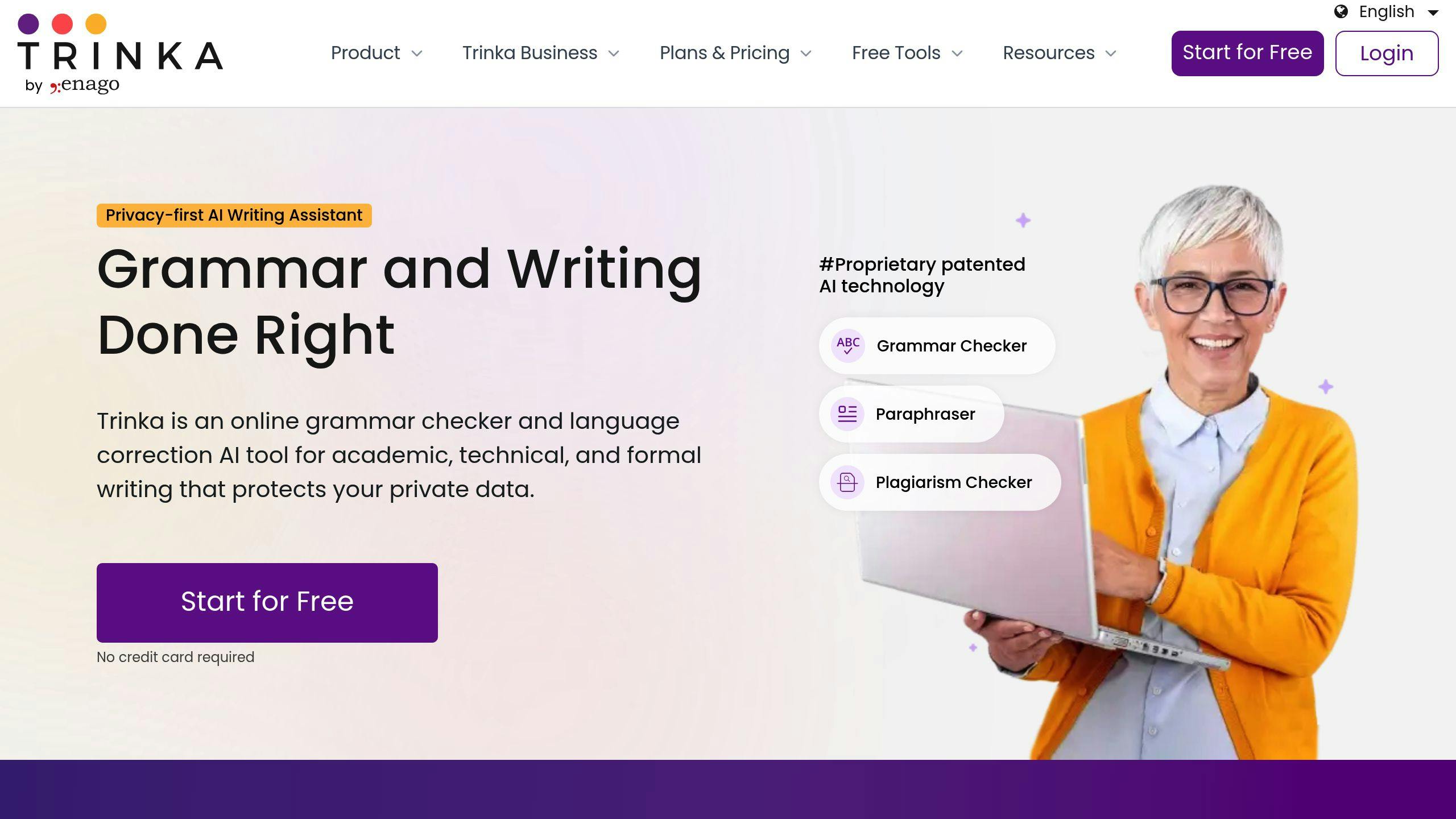 AI Grammar Tools: Trinka AI