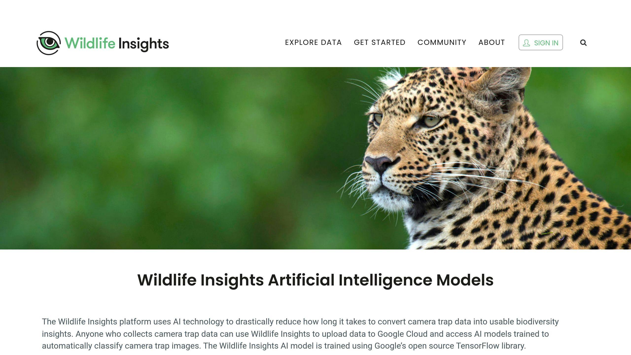 Wildlife Insights AI